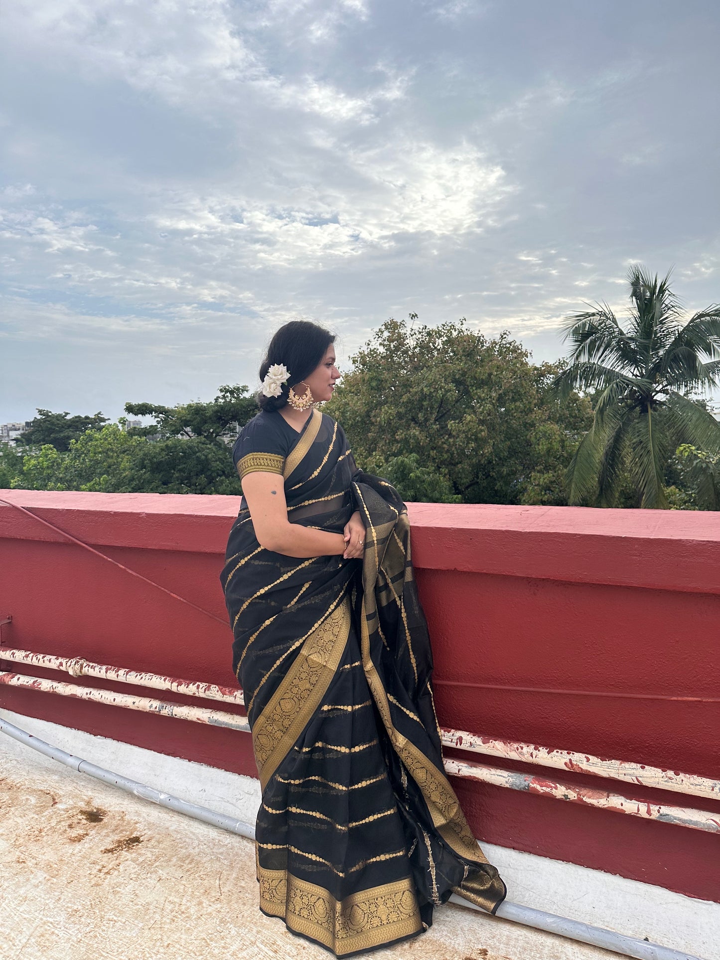 Banarasi Kora Silk Organza Saree- Blue, Black, Yellow, Green, Red, Pink.