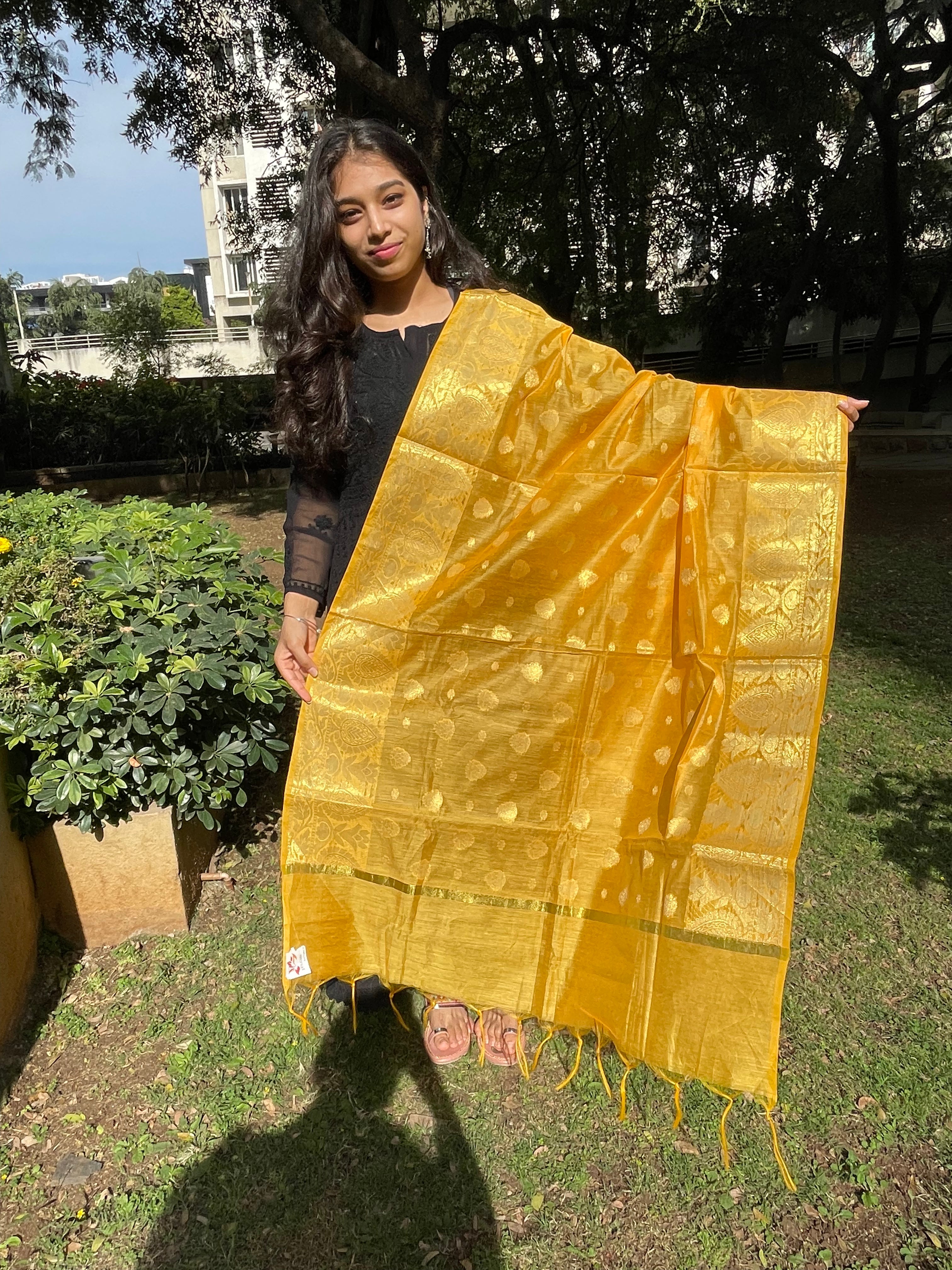 Banarasi Cotton Silk Woven Dupatta With Zari Mango Yellow