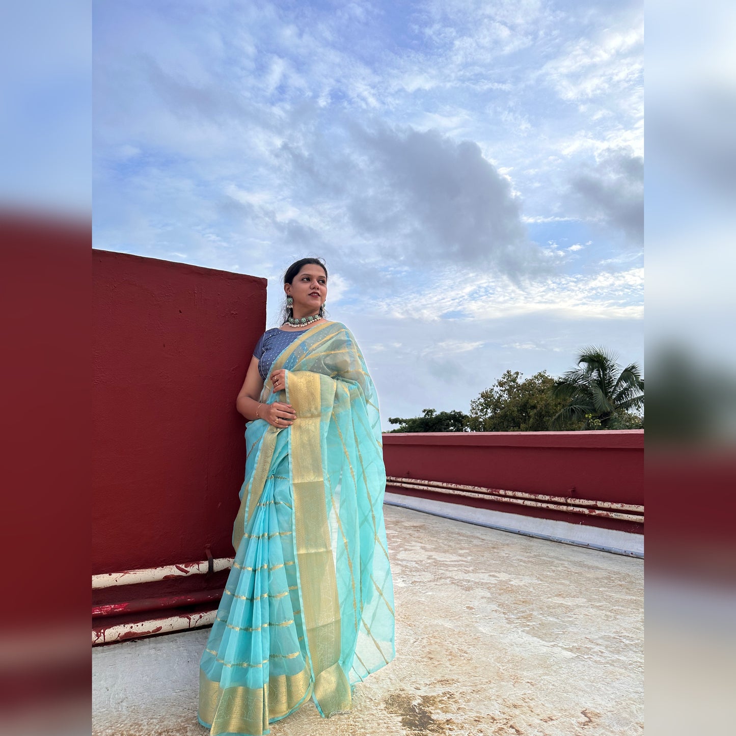 Banarasi Kora Silk Organza Saree- Blue, Black, Yellow, Green, Red, Pink.