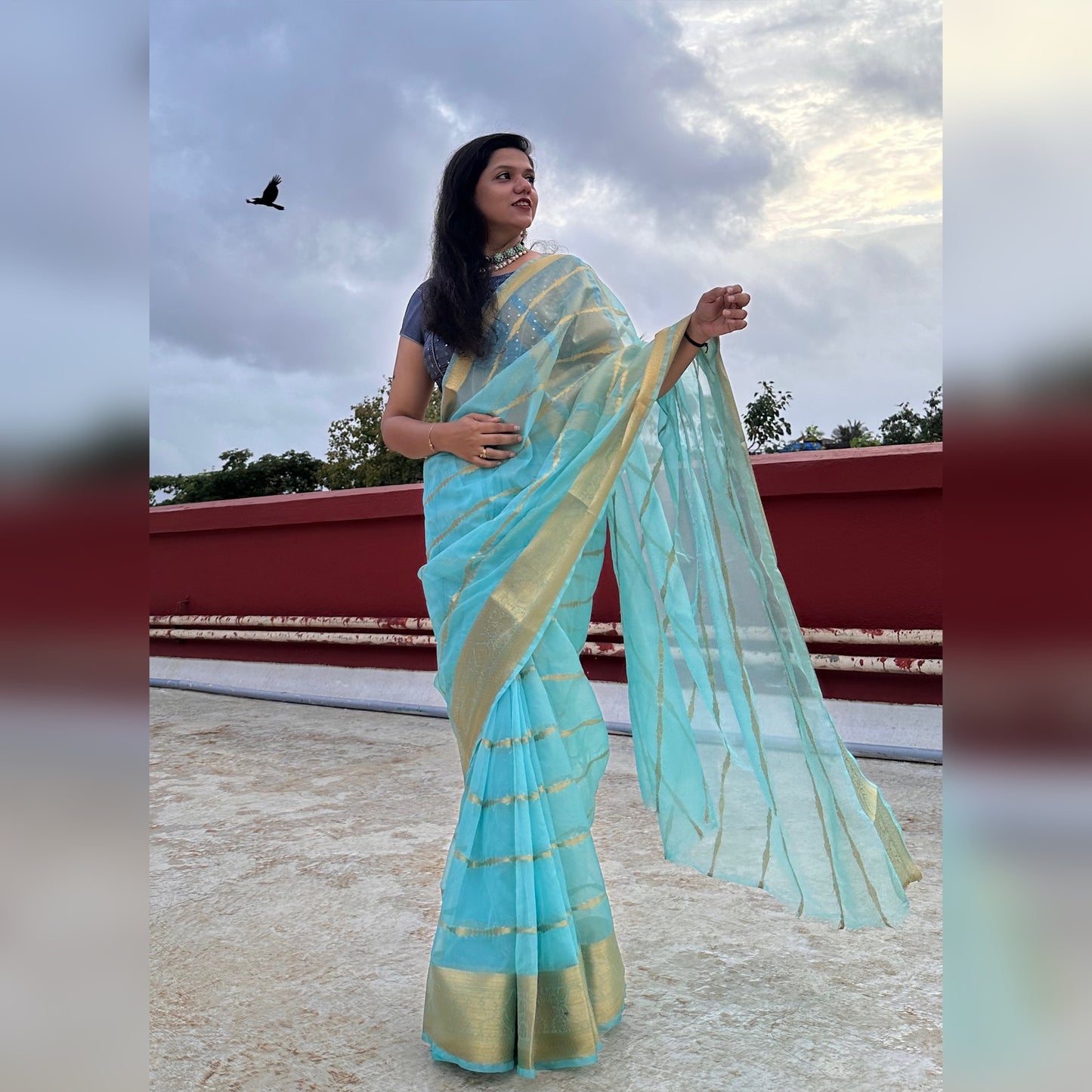 Banarasi Kora Silk Organza Saree- Blue, Black, Yellow, Green, Red, Pink.