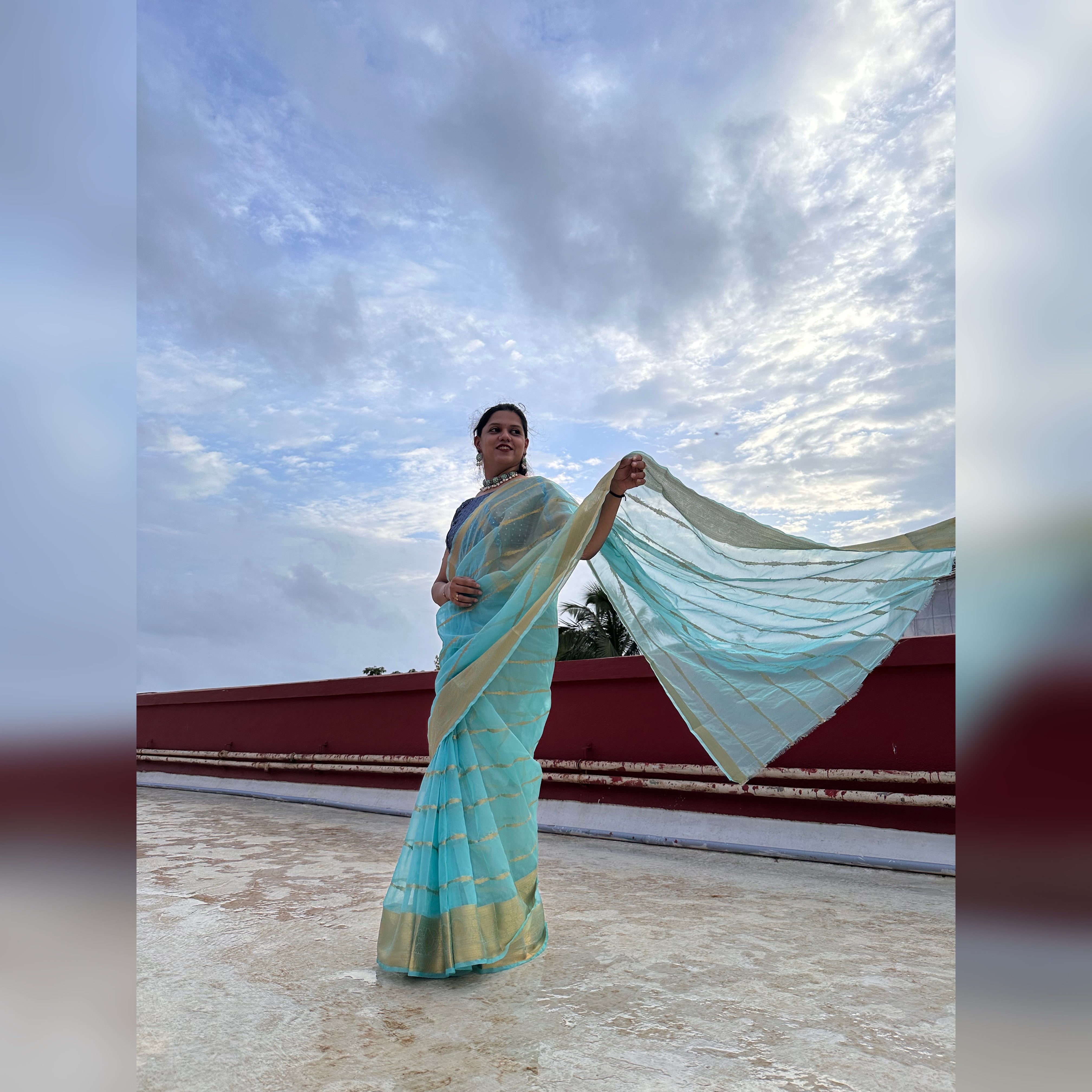 Banarasi Soft Organza Silk Saree- Blue, Black, red, Pink