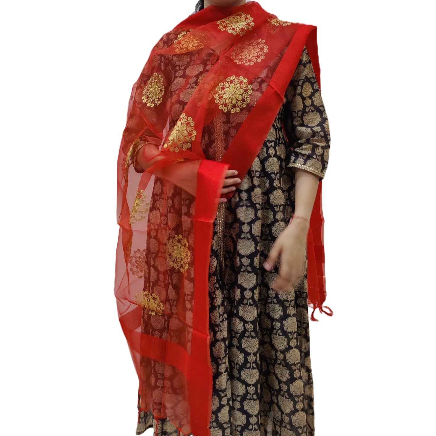 Organza Embroidered Dupatta- Red