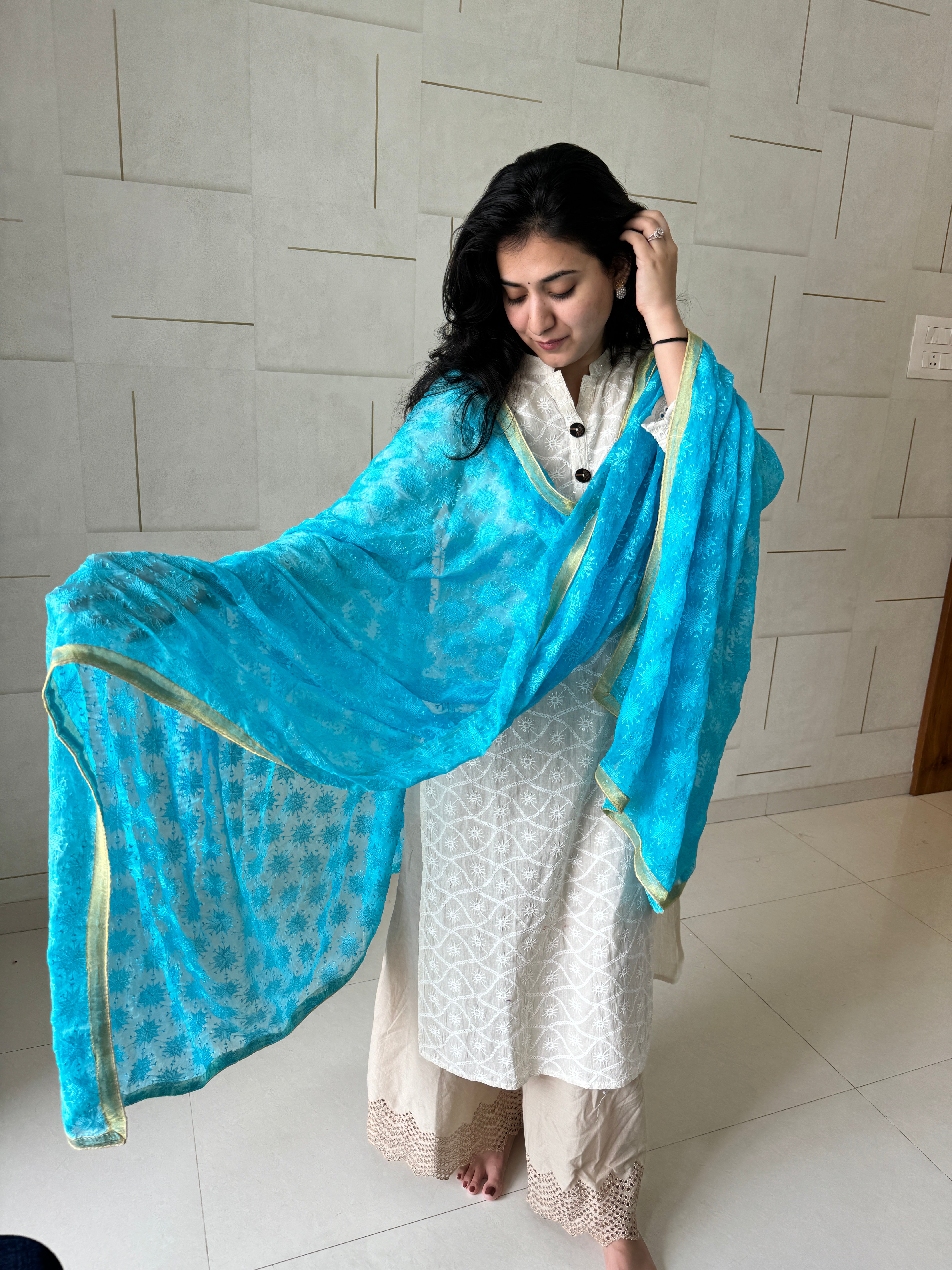 Phulkari Machine-Embroidered chiffon Dupatta - Blue