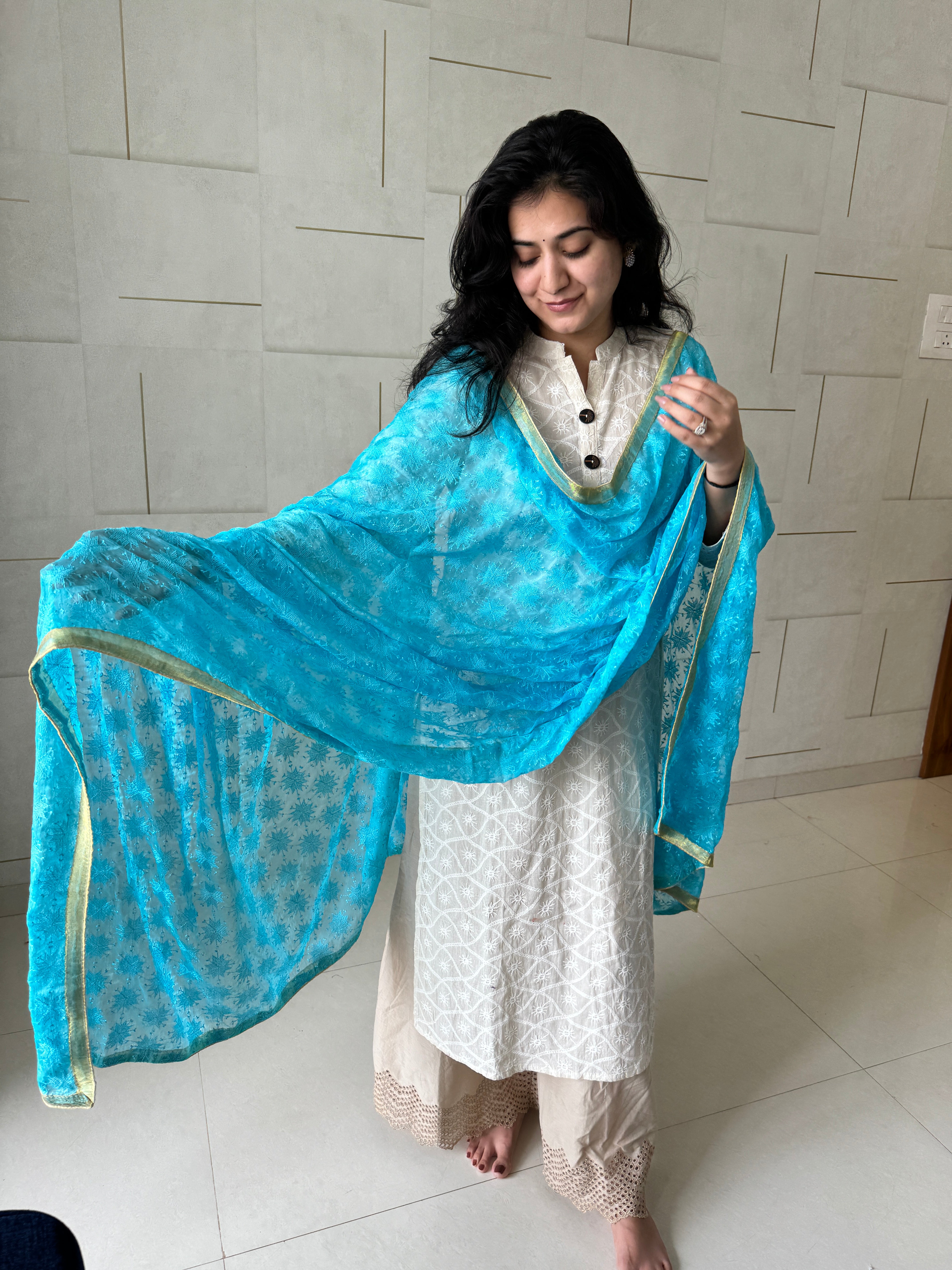 Phulkari Machine-Embroidered chiffon Dupatta - Blue