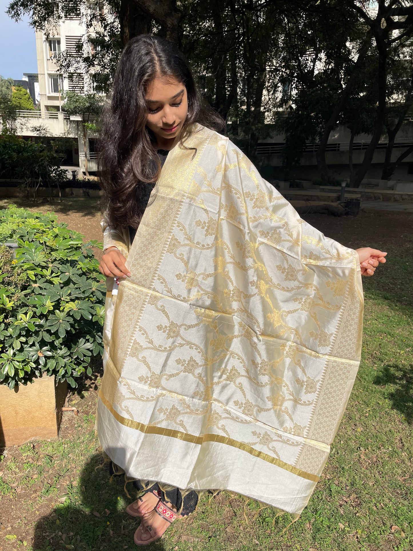 Banarasi Cotton Silk With Floral and Leaf Jaal Dupatta- White