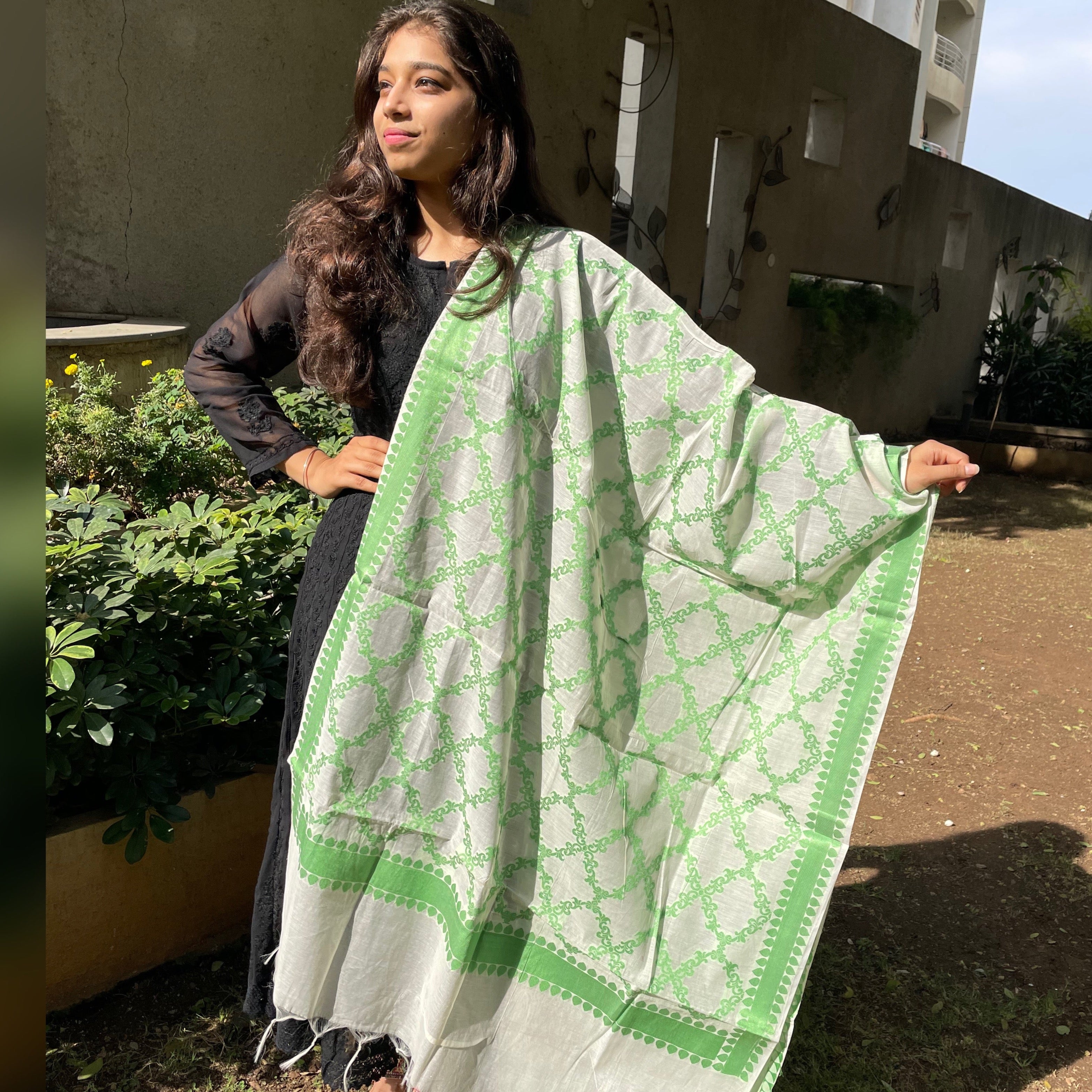 Banarasi Cotton Silk Woven Dupatta - White and Green