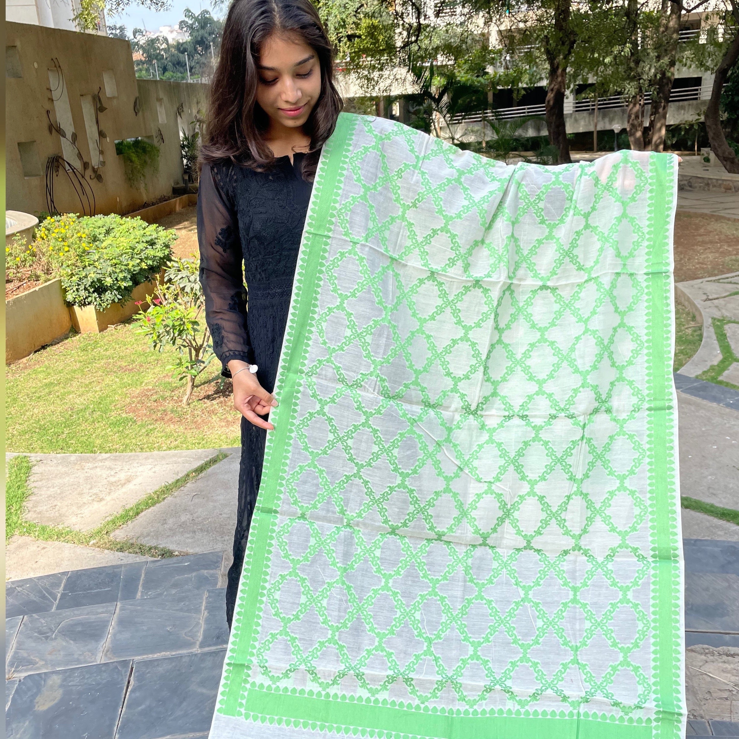 Banarasi Cotton Silk Woven Dupatta - White and Green