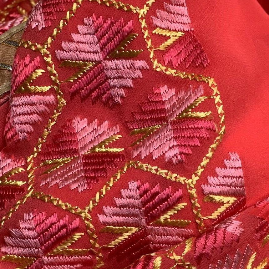 Phulkari Saree Traditional Jaal Embroidery Georgette - Peach pink - Phulari 